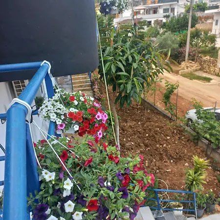 Apartment Memushaj *