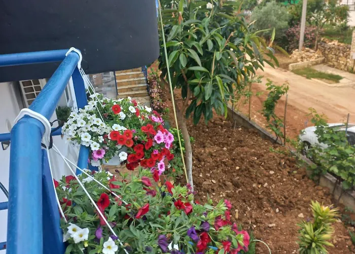 Apartament Memushaj *